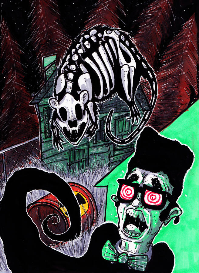 "Dr. X-Ray in the Possum Forest!" 2025